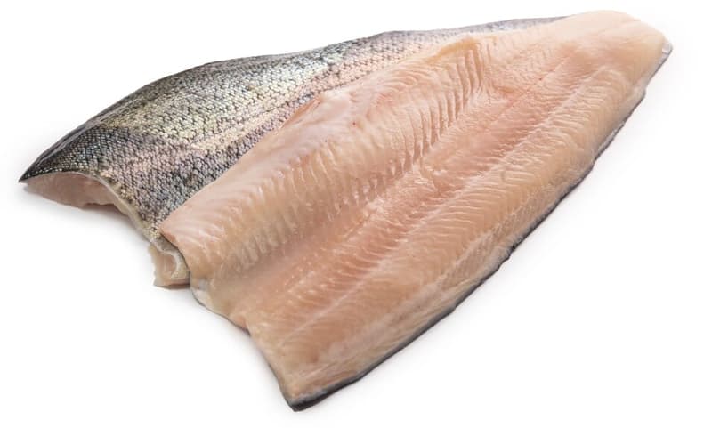 Trout fillet with leather DUO pack