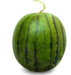 Watermelon mini