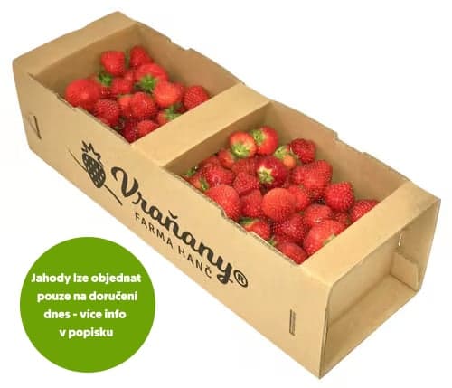 Farma Hanč Vraňany jahody, koš