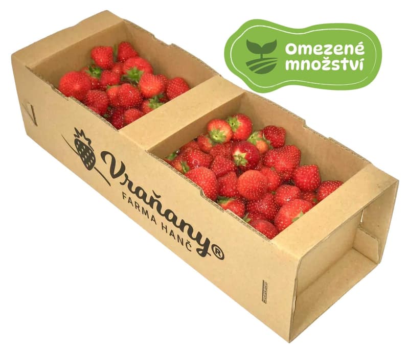 Farma Hanč Vraňany jahody, koš