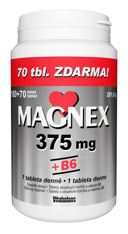 Magnex 375mg+B6 tbl.250