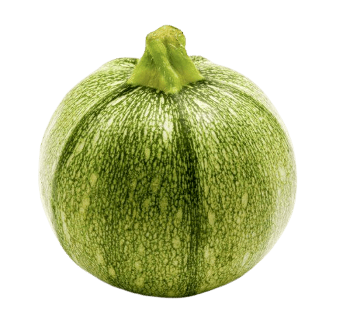 Round zucchini 1 pc