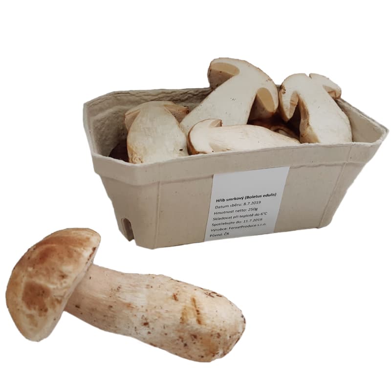 Boletus edulis - fresh, punnet