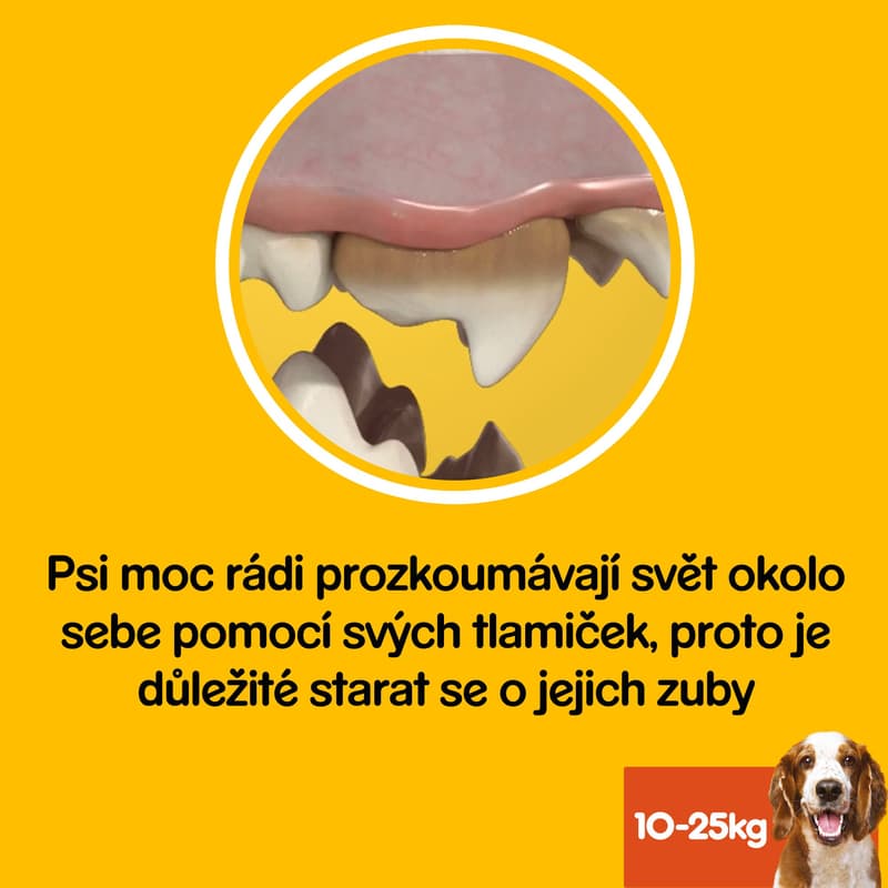 Pedigree Dentastix medium pro psy 10–25 kg