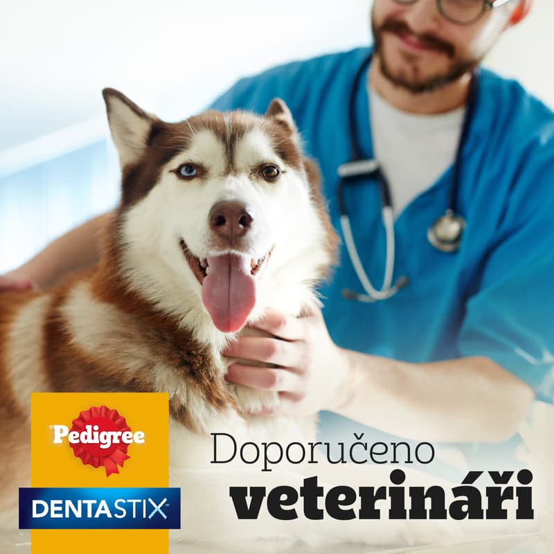 Pedigree Dentastix large pro psy 25kg+