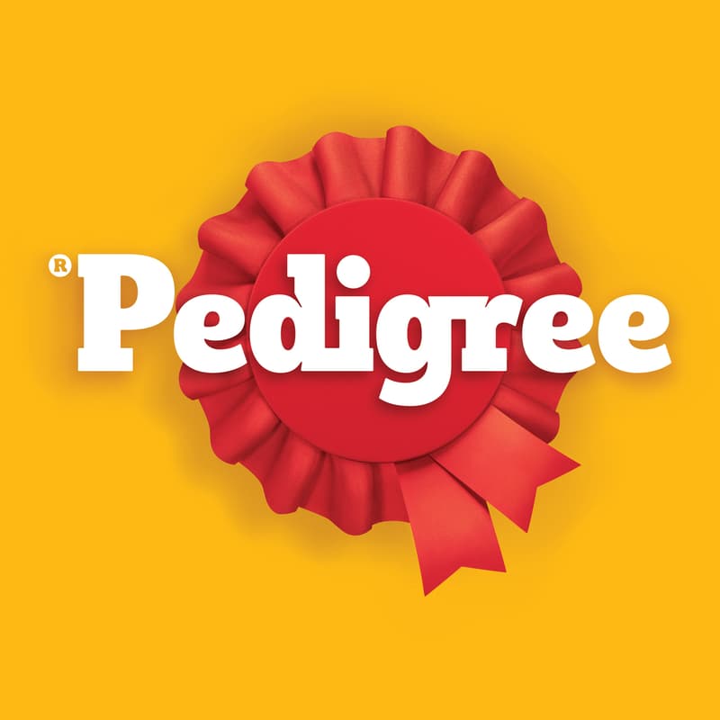 Pedigree Dentastix large pro psy 25kg+