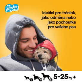 Pedigree Rodeo DUO Chewy sticks for dogs with beef