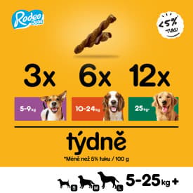 Pedigree Rodeo DUO Chewy sticks for dogs with beef
