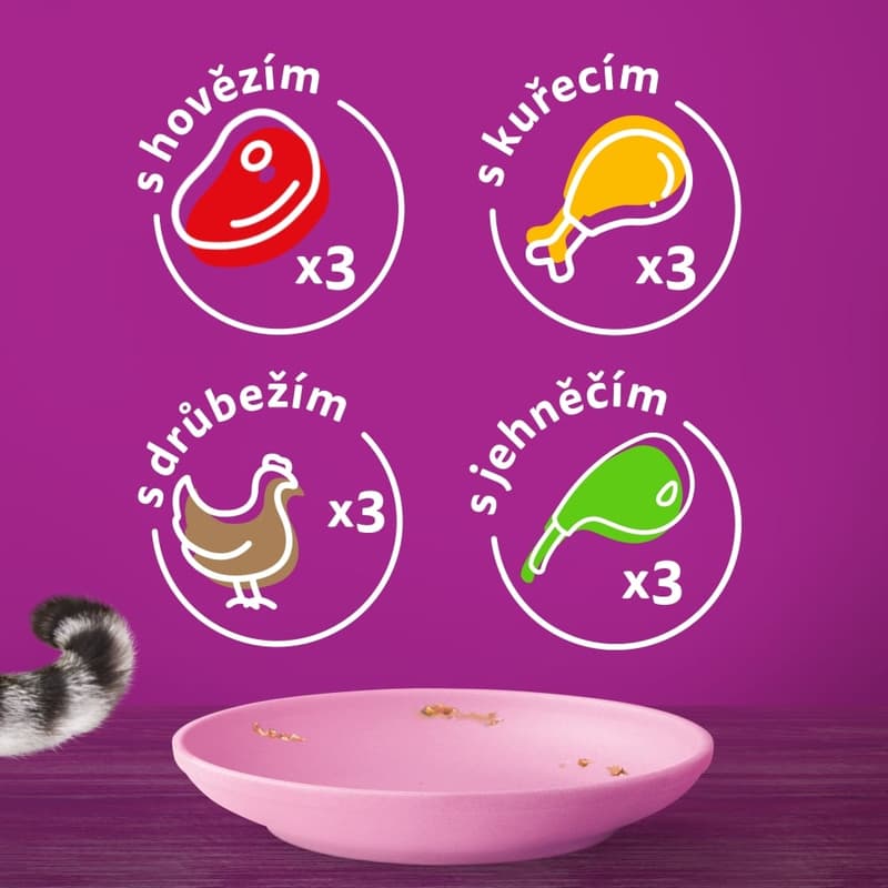 Whiskas Kapsičky klasický výběr ve šťávě pro koťata 12×85 g