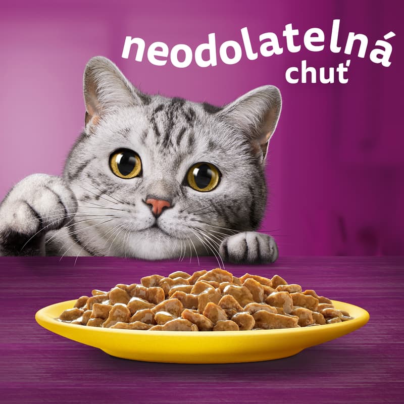 Whiskas Kapsičky pro dospělé kočky drůbeží výběr ve šťávě 12×85 g