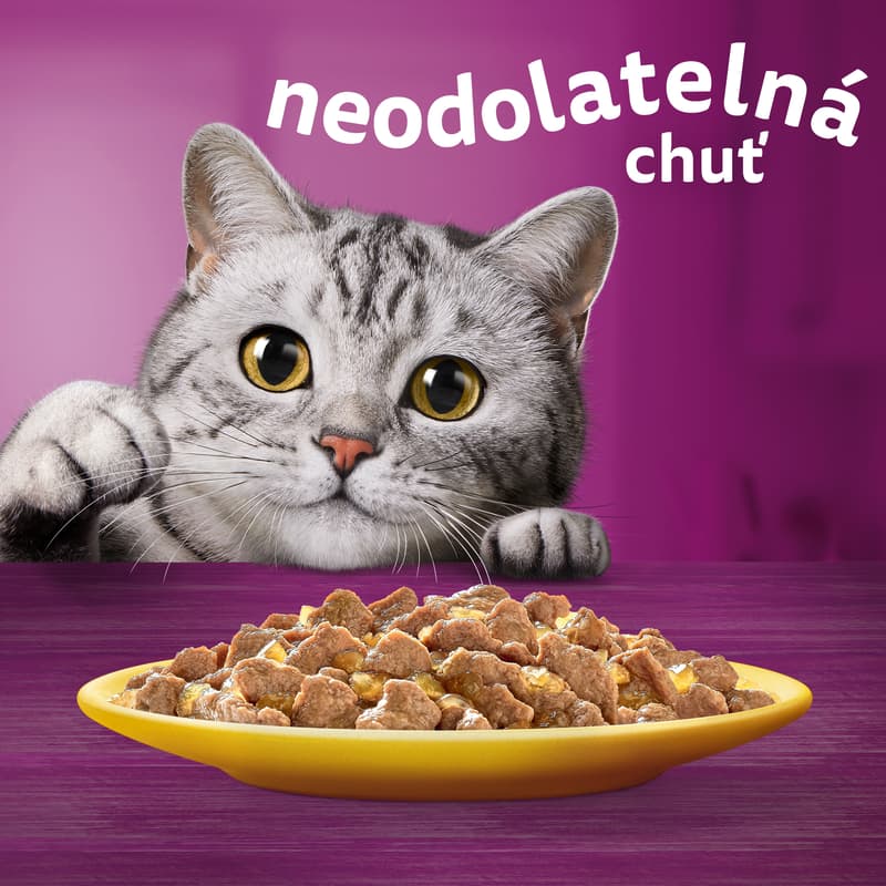Whiskas Kapsičky drůbeží výběr v želé pro kočky 12×85 g