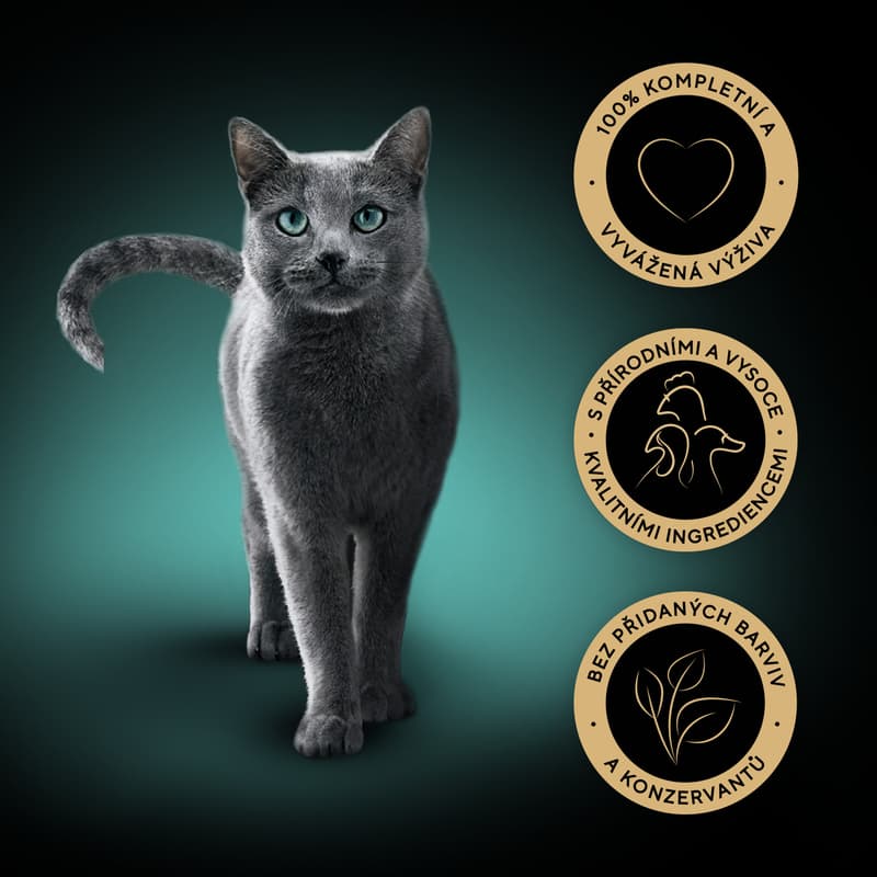 Sheba Delicacy pockets for adult cats Poultry selection in jelly 12 × 85g