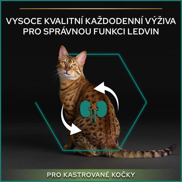 Pro Plan Cat Sterilised Renal Plus losos granule pro kastrované kočky