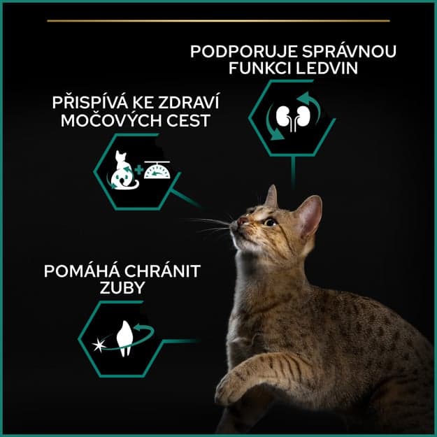 Pro Plan Cat Sterilised Renal Plus losos granule pro kastrované kočky