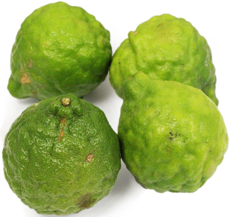 Mauricijská limeta (Kaffir lime) 1ks