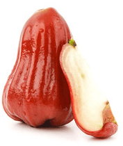 Clove (Rose apple), free 1pc