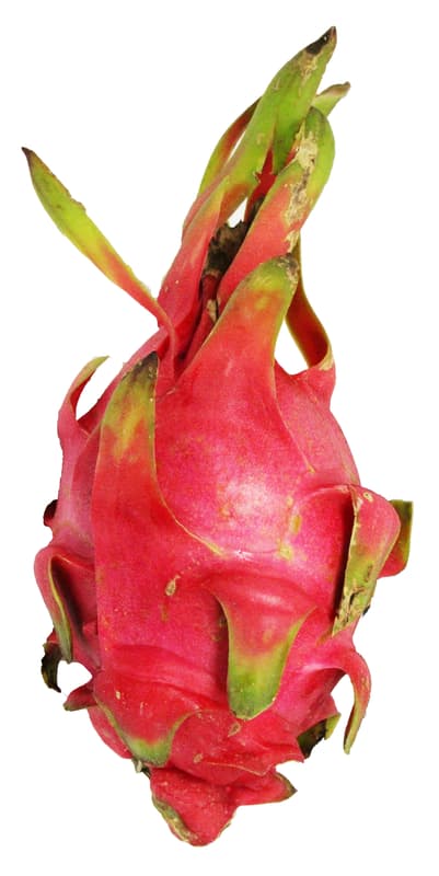 Pitahaya (Red dragon fruit), loose