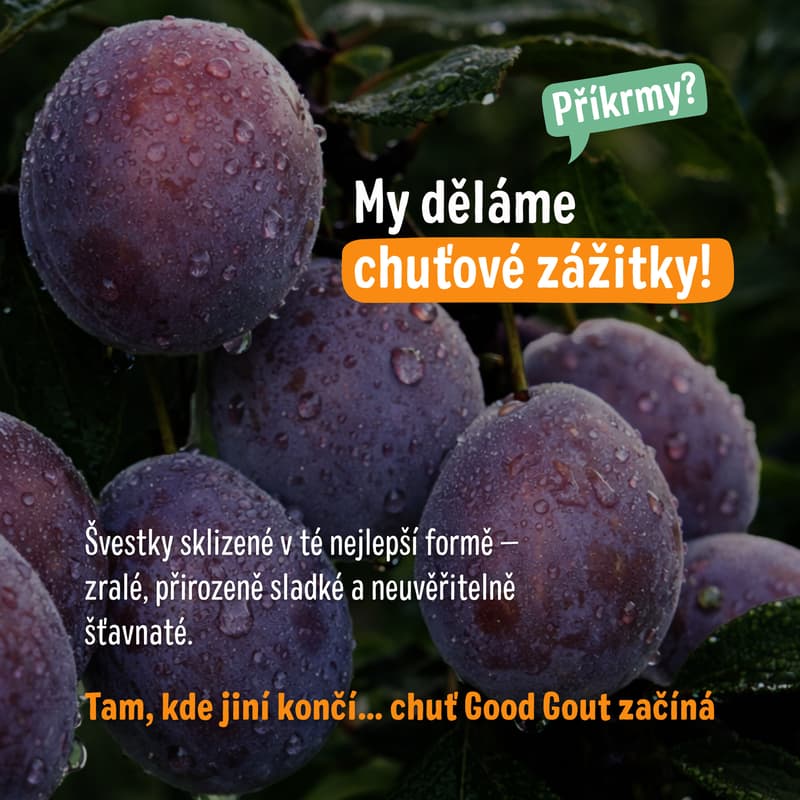 Good Gout BIO Kapsička švestka