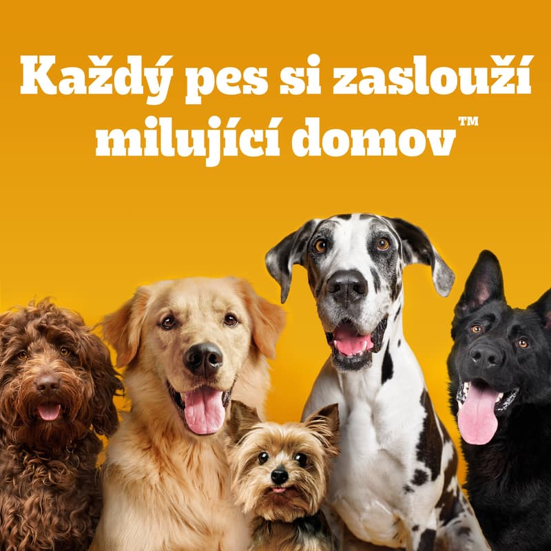 Pedigree Biscrok Original Biscuits for dogs