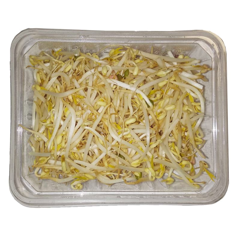 Sprouts Mung beans, punnet
