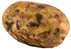 Early potato (unwashed)