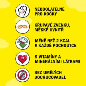 Dreamies S lahodným lososem pro kočky