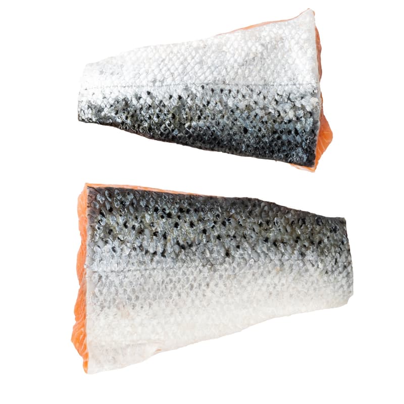 Salmon serving with skin