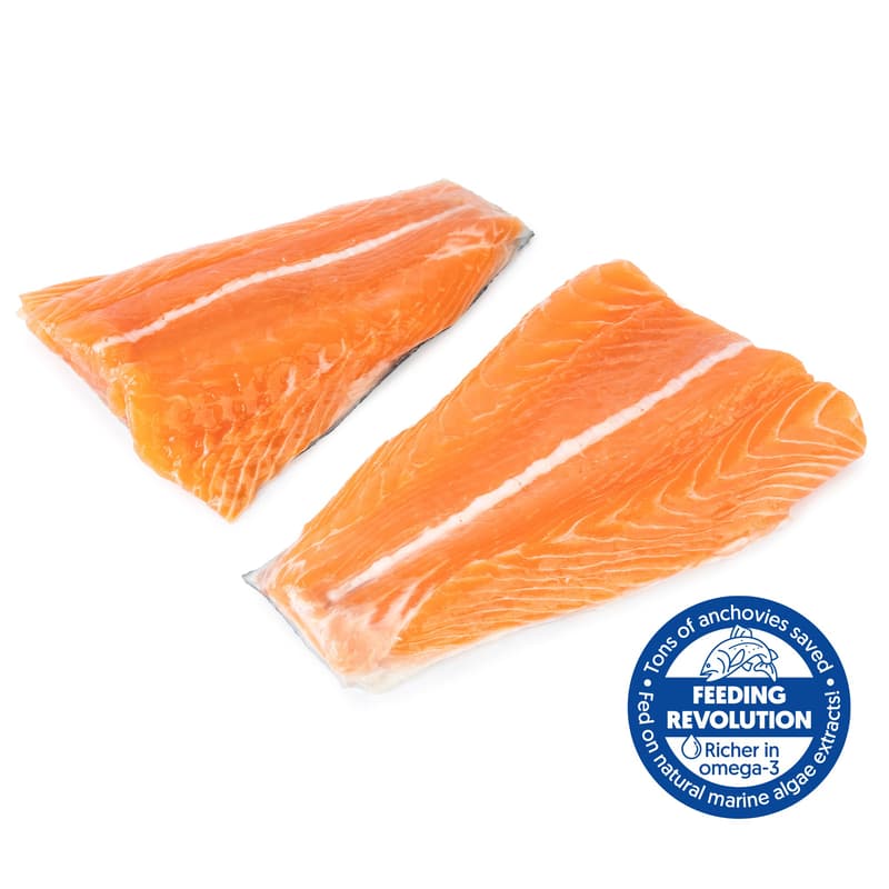 Salmon serving with skin