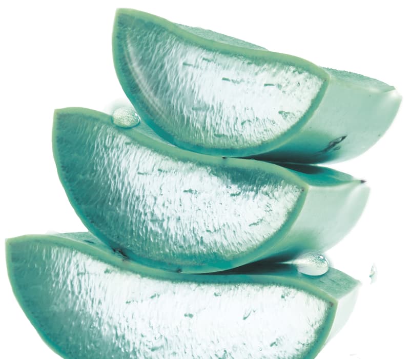 Garnier Hyaluronic Aloe čistící gel