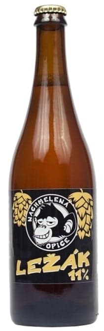 Nachmelená opice lager