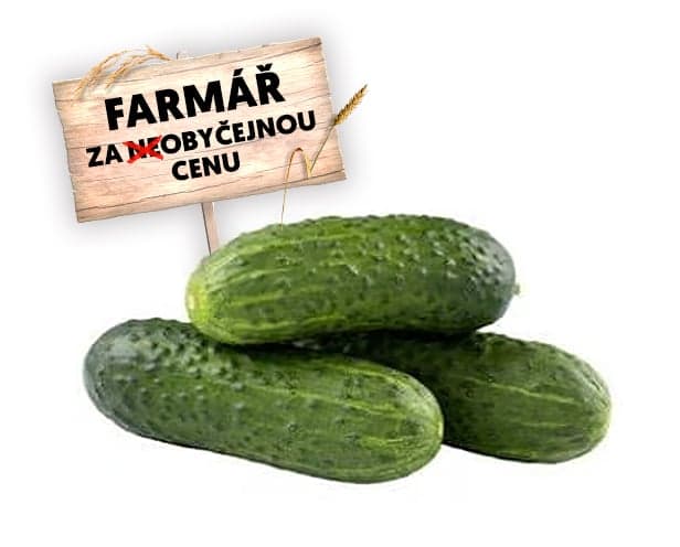 Cucumber pickle