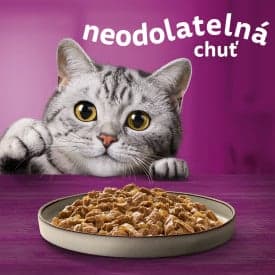 Whiskas Casserole mixed selection in jelly 12×85 g