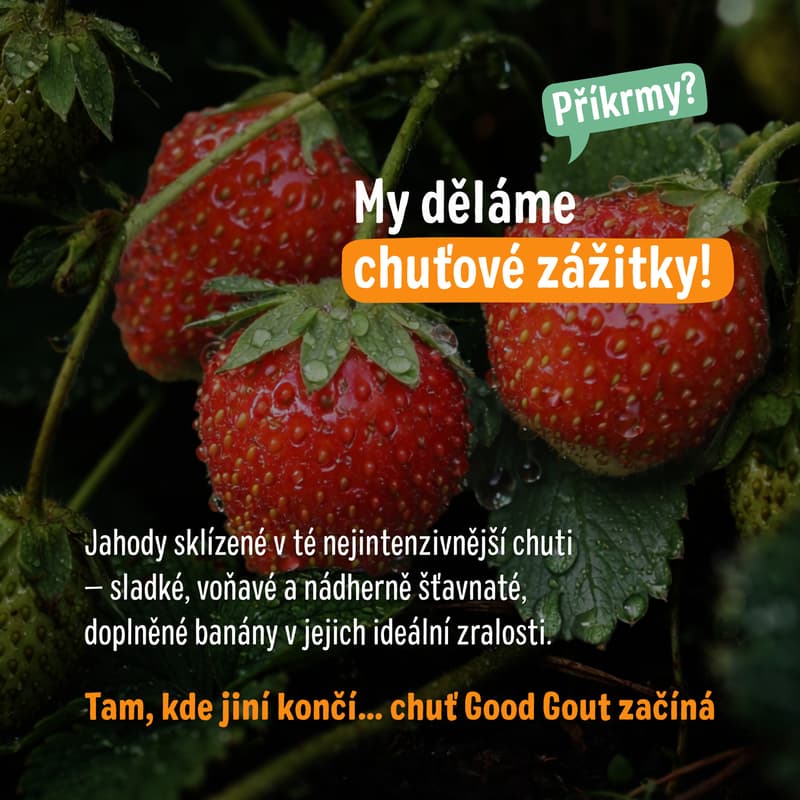 Good Gout BIO Strawberry with banana