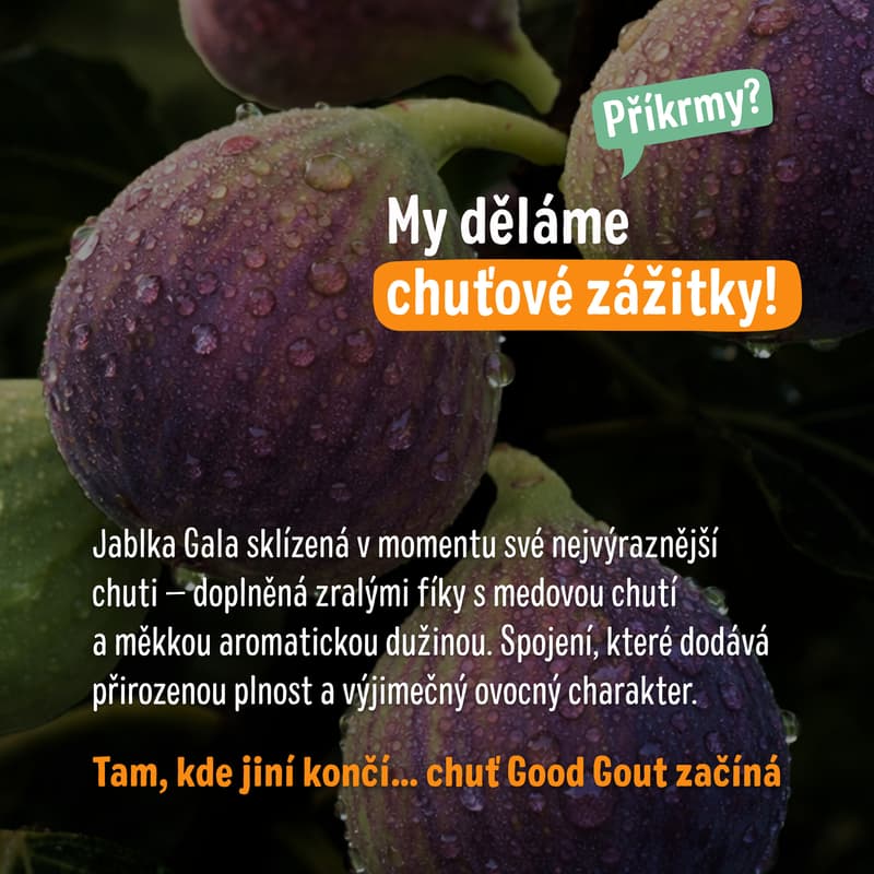 Good Gout BIO Kapsička jablko a fíky