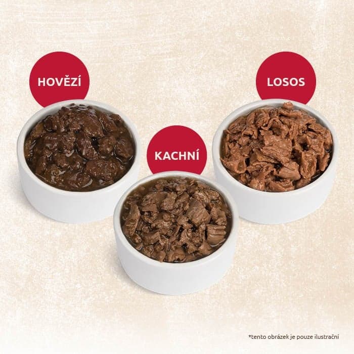 Shelma Bezobilné dušené filetky masový výběr pro kočky 12×85 g