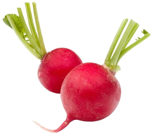 Radish without leaves, package