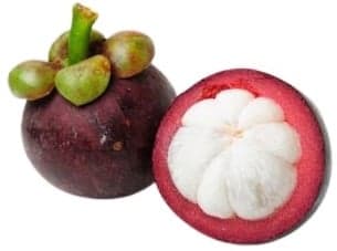 Mangosteen