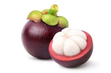 Mangosteen