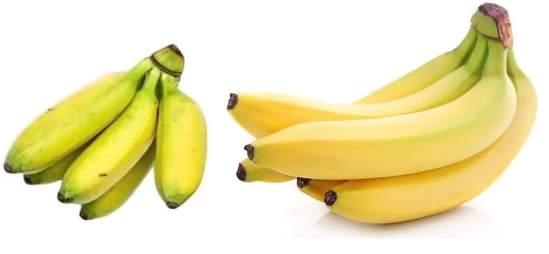 Baby bananas
