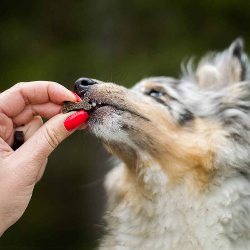 Akinu Small bones MINI for pupies with calcium 60g
