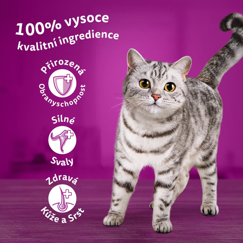 Whiskas Kapsičky klasický výběr ve šťávě pro dospělé kočky 4×85 g