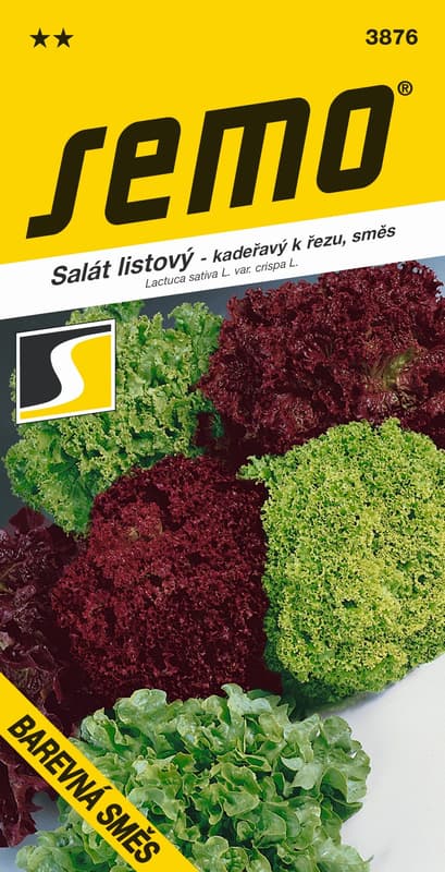 SEMO Curly leaf lettuce, color mix