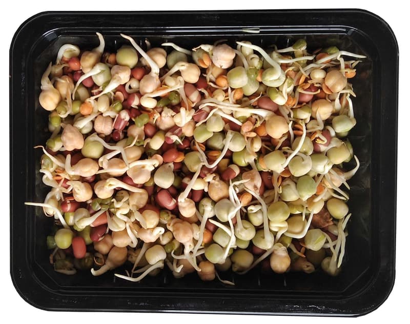 BIO Bean sprouts, tray