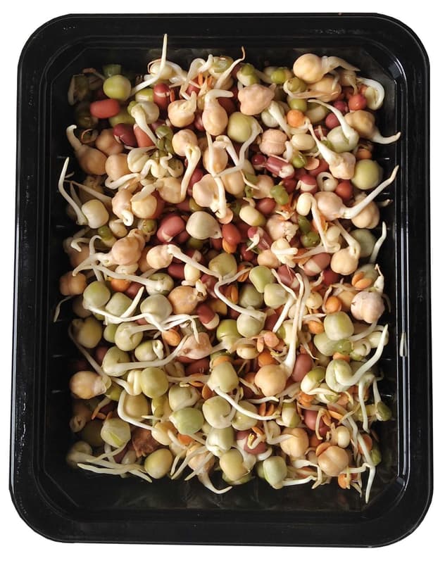 BIO Bean sprouts, tray