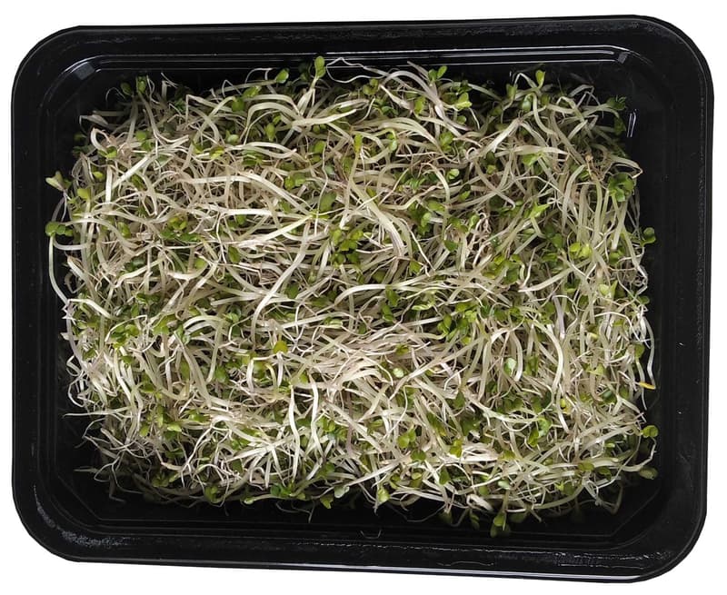Broccoli sprouts, tray