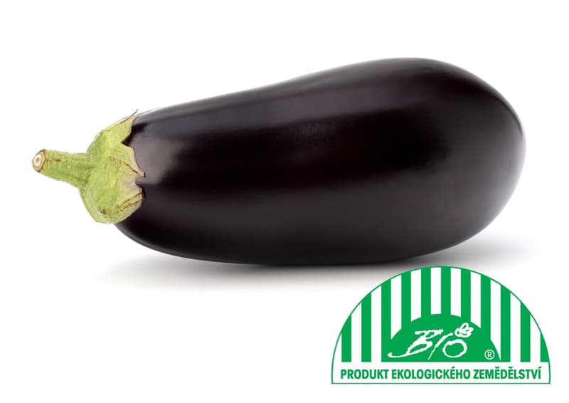 BIO Eggplant 1 pcs