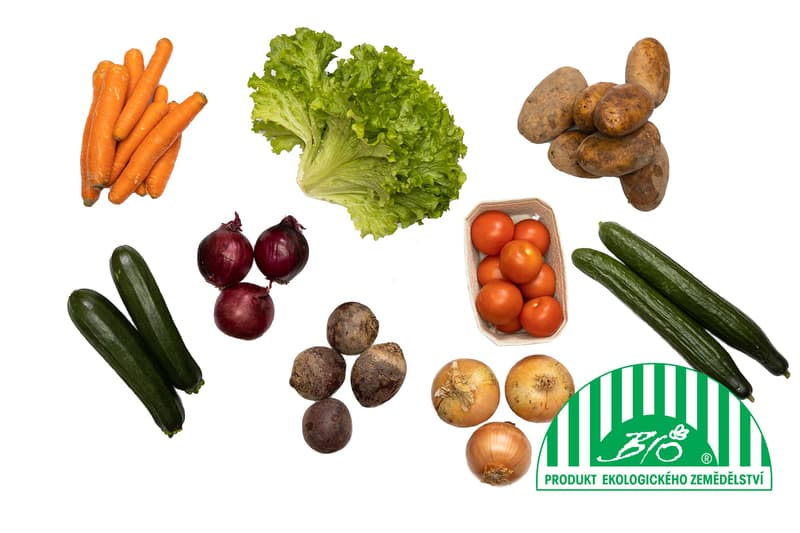 BIO Vegetable box