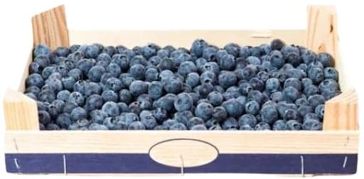 Bluberries XXL pack
