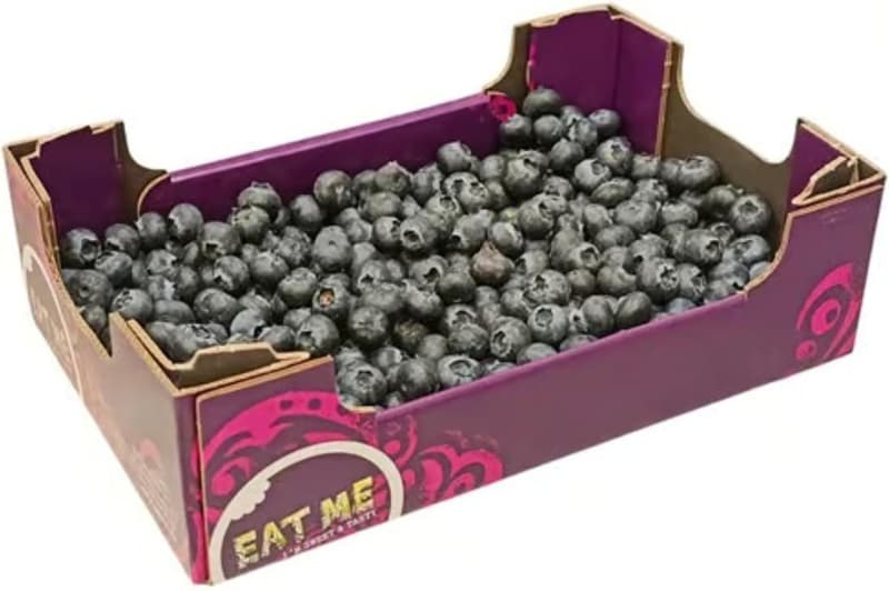 Bluberries XXL pack