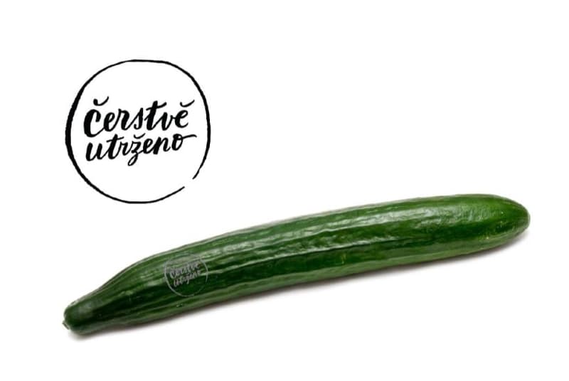 Freshly harvested – Cucumber (Hugo)